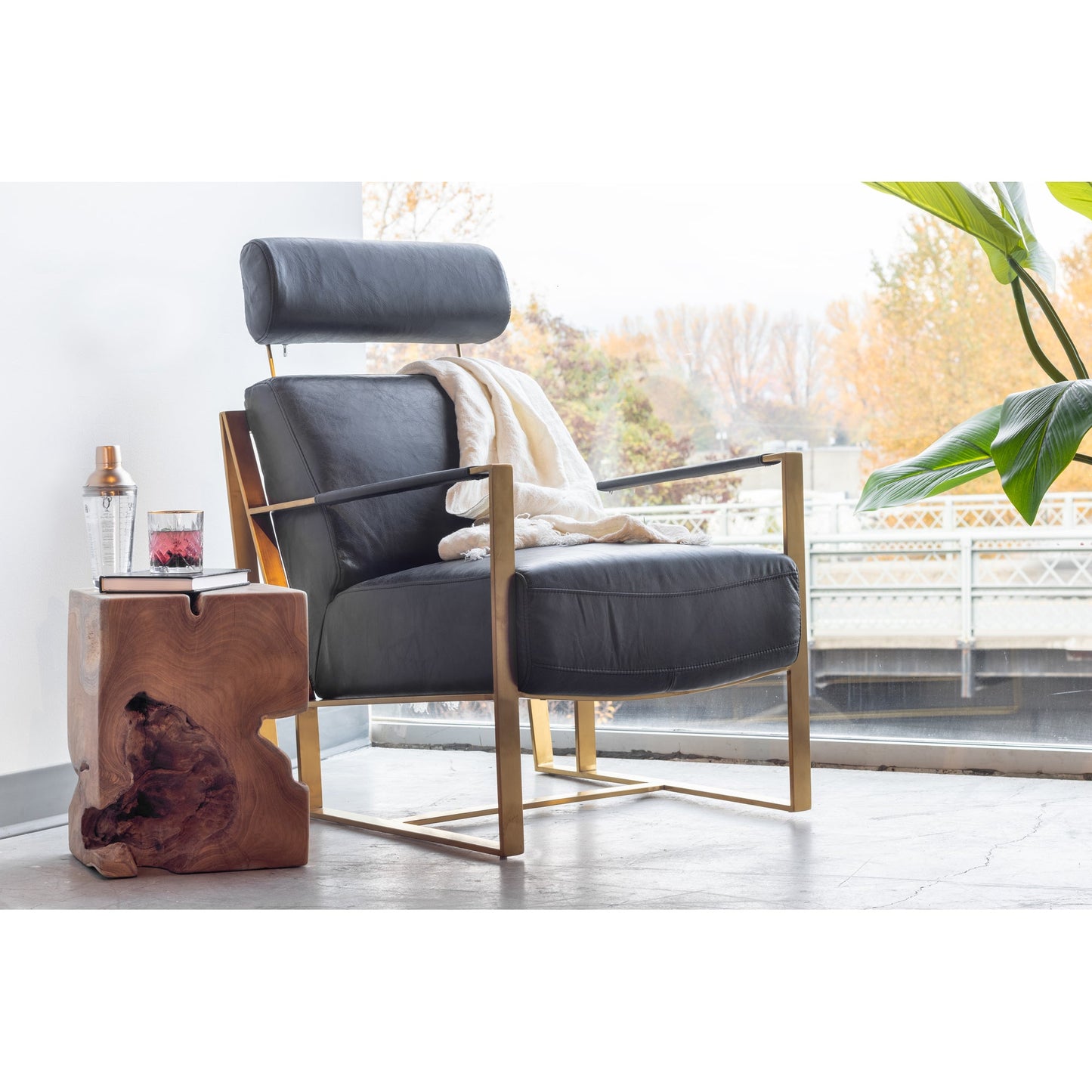 Paradiso Chair Onyx Black Leather | Moe's Furniture - PK-1083-02